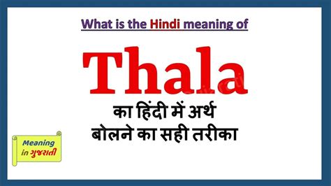 chinna thala meaning in hindi.